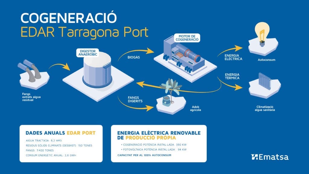 Infografia del procés de cogeneració d'energia renovable
